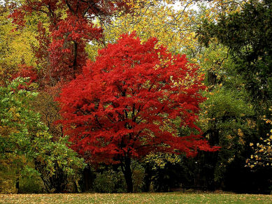 1 8 chakra harmonisierung