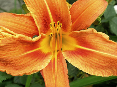 2 chakra harmonisierung