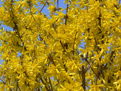 3 chakra harmonisierung