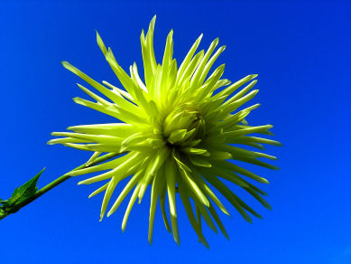 6 chakra harmonisierung