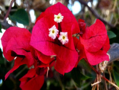 chakra harmonisierung 8