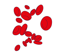 blood