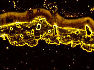 10 uzdrawianie bioelement