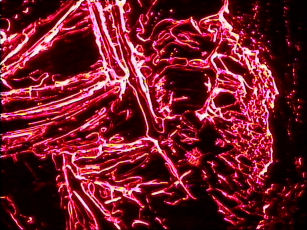 13 uzdrawianie bioelement