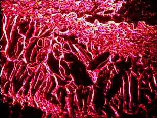 6 uzdrawianie bioelement